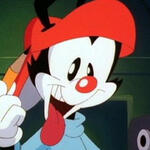 Wakko